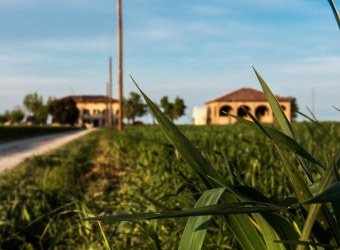 Welcome to our new website!